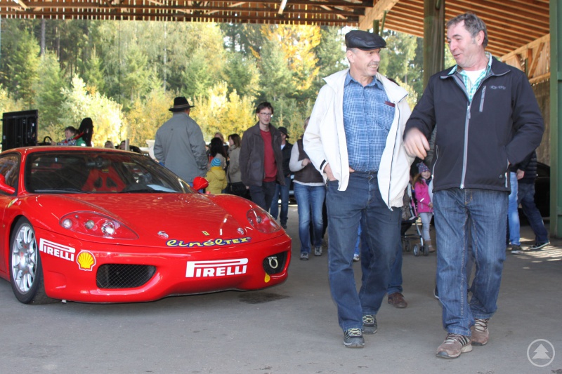 "Heiße Hobel" gab es bei der Rennwagenschau zu sehen, die schnellen Autos waren ein Höhepunkt des Rahmenprogramms beim 1. Niederbayerischen Holzforum.