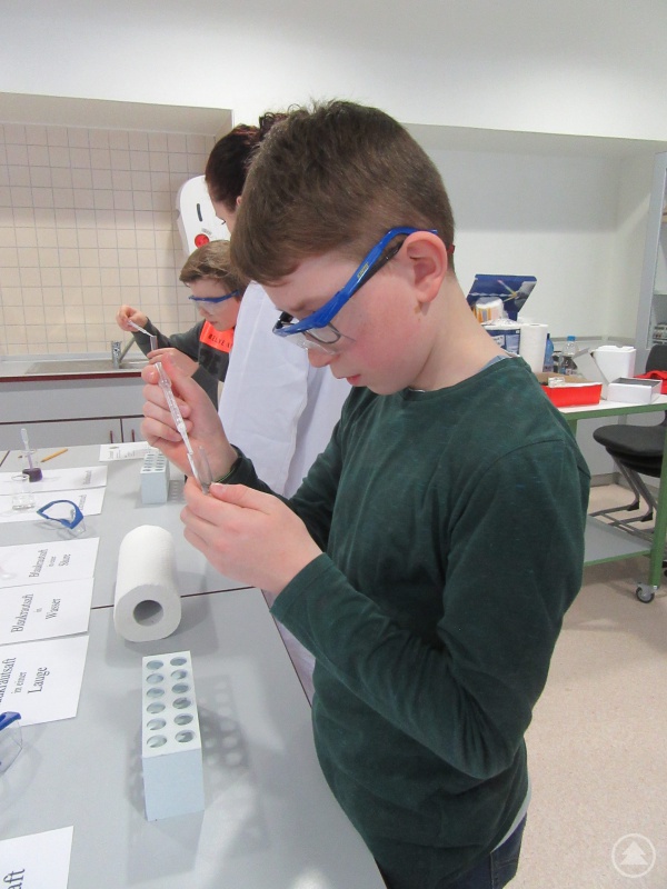 Ist Blaukrautsaft sauer? Mit Schutzbrille, einem Reagenzglas und einer Pipette ausgestattet ließ sich das herausfinden.