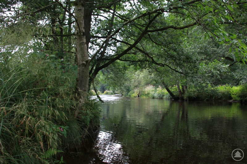 Auf dem Weg zur Rosenbergersäge an der Ilz entlang...
