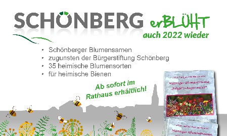 Gutes für die Bienen und die Umwelt – Schönberger Blumensamen zu Gunsten der Bürgerstiftung