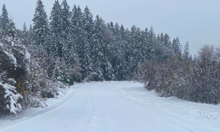 Auf die Loipe, fertig, los - Der Winter ist da!