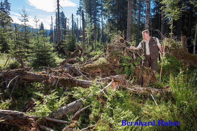 Flyer/Grafik zum Event: Mit dem Ranger unterwegs am Di., 08.10.2019 von 10:00 bis 13:00 Uhr