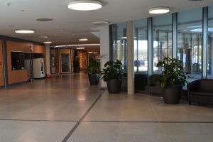 Corona-Zeiten im Krankenhaus und das Team im Hintergrund