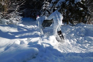 Afrikanische Schweinepest: „Hauptaugenmerk liegt derzeit auf der Prävention“