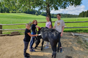 Spiel, Spaß und Action in den Sommerferien