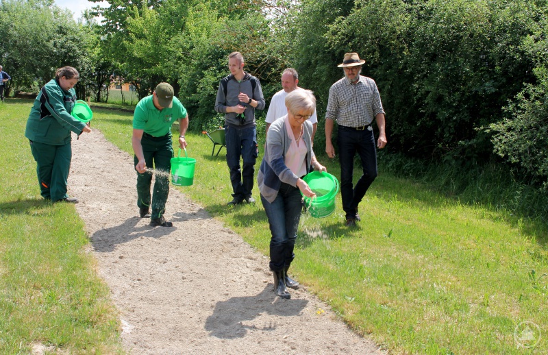 Die Landrätin Rita Röhrl sät voran, die Gärtner Nadine Ludwig und Bernhard Drexler säen mit. Gartenfachberater Klaus Eder, Tobias Hartl und Michael Hartl sind mitdabei.