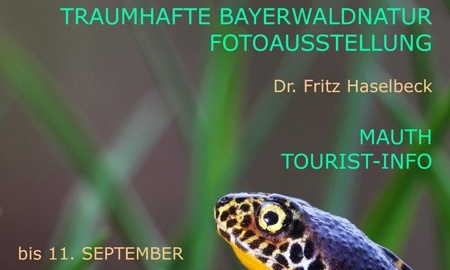 Naturfotografie in Mauth