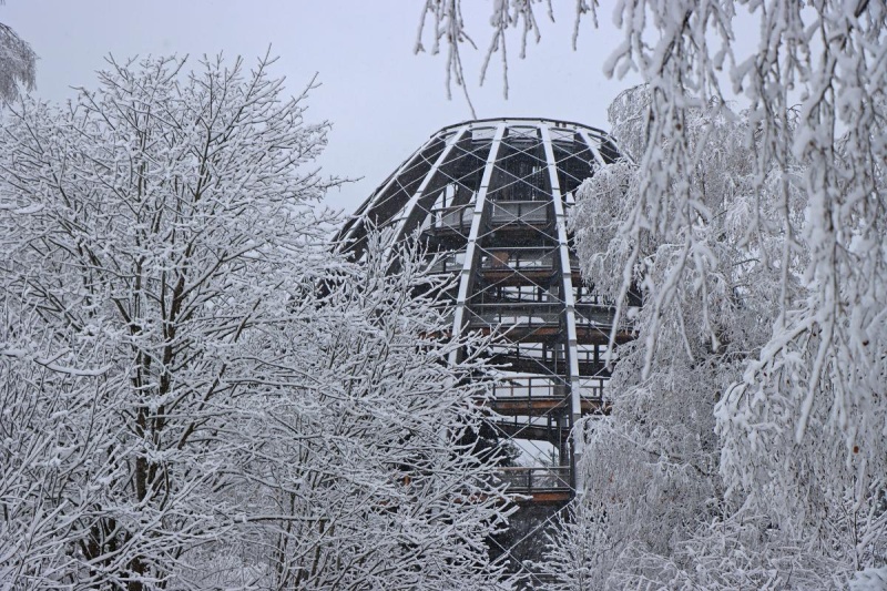 Flyer/Grafik zum Event: Wipfelstürmer am Sa., 13.01.2024 - Do., 13.03.2025