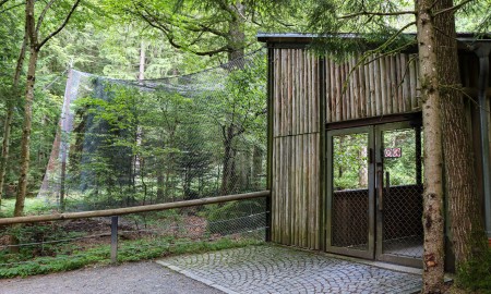 Neues Konzept für die Volieren im Tier-Freigelände