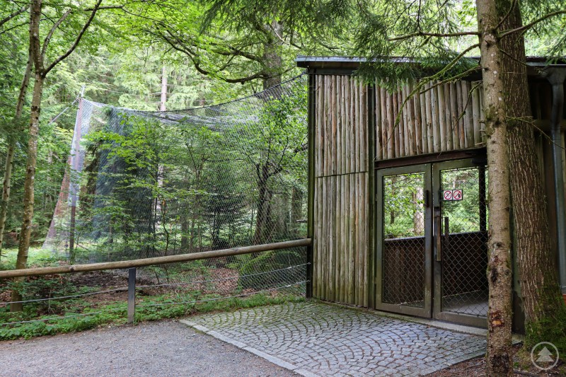 Die Greifvogelvoliere muss im Zuge der Neukonzeption gesperrt werden.