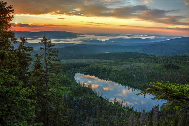 Flyer/Grafik zum Event: Fotoausstellung SumaWald am Mi., 26.03.2025 - So., 27.04.2025