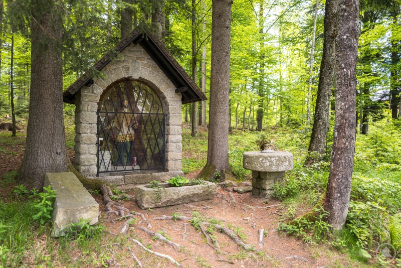 Die Bischofsreuter Kapelle mit der Statue des „Sacharin-Heiligen“ als kulturelles Wahrzeichen. Waldkapelle aus Stein mit Gittertür, in der eine Figur des Hl. Johannes Nepomuk steht. Vor der Kapelle eine Steinbank und ein runder Steinaltar zwischen hohen Bäumen.