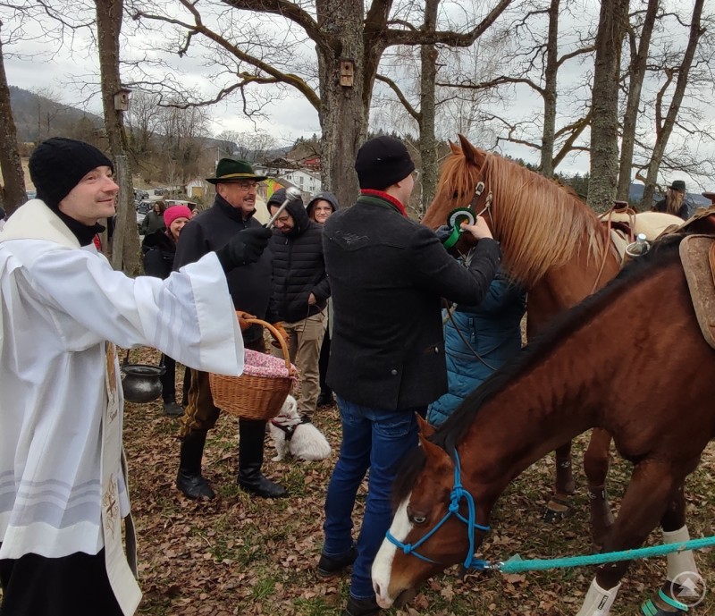 Ein Priester segnet ein Pferd mit Weihwasser, w&auml;hrend mehrere Menschen danebenstehen und zusehen. Das Pferd tr&auml;gt eine Schleife am Zaumzeug.