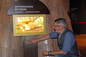 Pilzfernseher fürs Waldgeschichtliche Museum