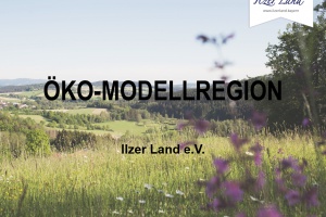 Bürgermeister und Projektkoordinatorinnen - Hand in Hand im Ilzer Land