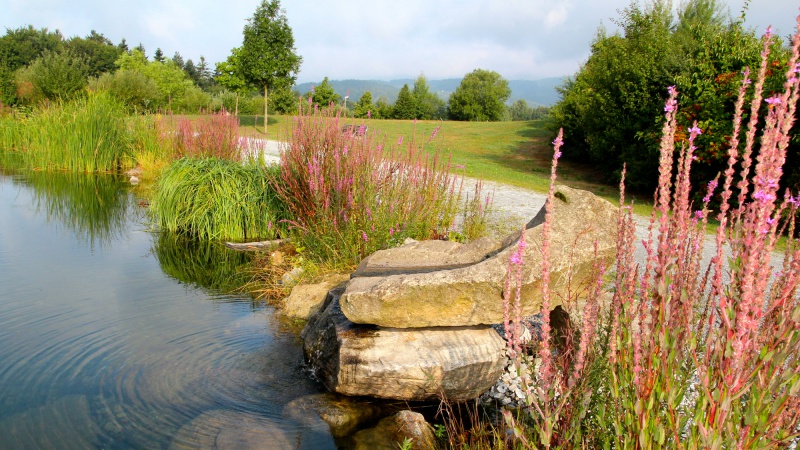 Flyer/Grafik zum Event: Führung im Feng Shui Kurpark Lalling am Do., 01.07.2021 von 15:00 bis 16:30 Uhr