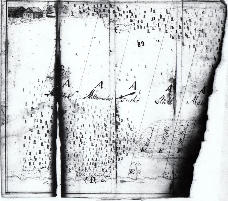 Die früheste Darstellung der Rodungsflächen und Häuser in Zwölfhäuser findet sich auf einem angebrannten Dokument aus dem Staatsarchiv München (HL Passau Rep. 113 Fasz. 249/211).