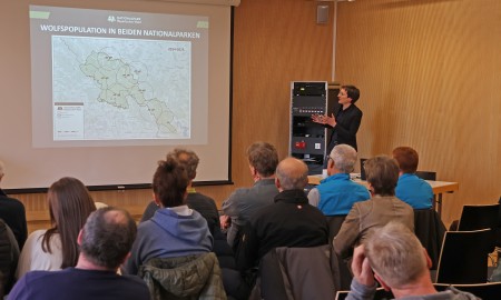 Nationalpark informiert &uuml;ber Wolfspopulation im Bayerischen Wald