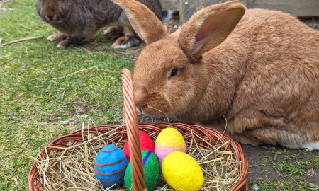 Ostern im Freilichtmuseum Massing und Kartenvorverkauf