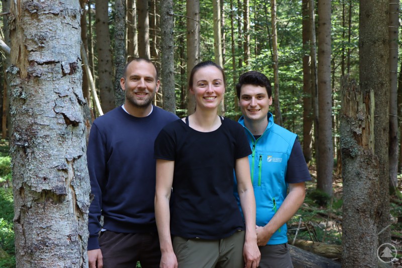 Geben spannende Einblicke in die Waldinventur im Schutzgebiet: Nationalparkmitarbeiter Jakob Ebenbeck (von rechts) und Isabelle Klein sowie Sebastian Dersch von der Uni Freiburg.