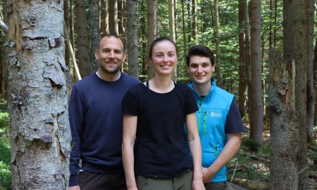 Dem Herzschlag des Waldes lauschen