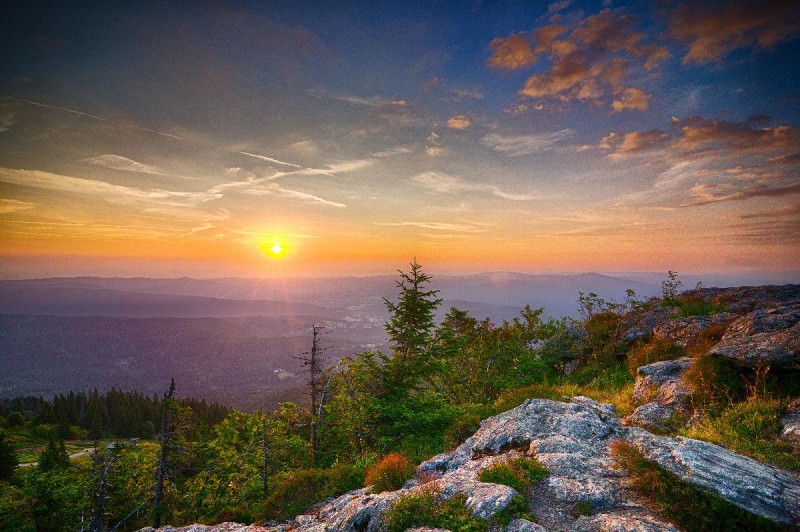 Flyer/Grafik zum Event: Musik trifft Natur- Sonnenaufgangskonzert am So., 10.08.2025 von 06:30 bis 10:00 Uhr