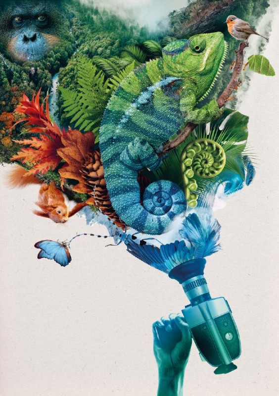 Flyer/Grafik zum Event: NaturVision Filmtage 2025 am Fr., 17.10.2025 - So., 19.10.2025