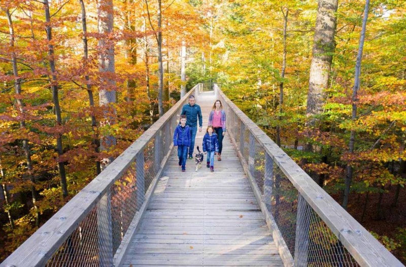 Flyer/Grafik zum Event: Schnuppertag: mit dem Hund auf dem Baumwipfelpfad am Do., 20.11.2025 - Do., 18.12.2025 von 09:30 bis 16:00 Uhr