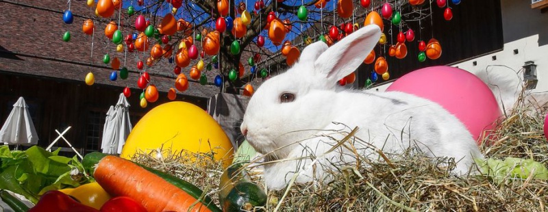 Flyer/Grafik zum Event: Ostermarkt Gut Aiderbichl Deggendorf am Sa., 24.03.2018 - So., 08.04.2018