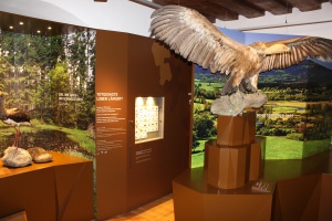 Museum in Schloss Wolfstein – virtuell erleben