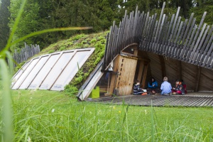 Aufbruch ins Walderleben