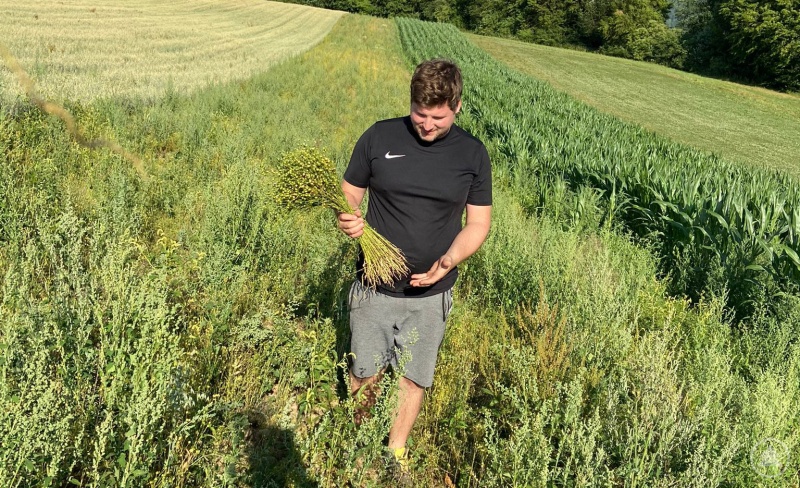 Judith´s Mann Matthias beim Sammeln von Materialien