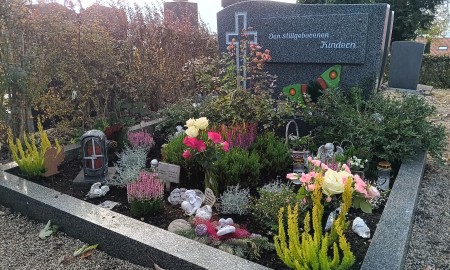 Sternenkinder : Ein Licht in der Dunkelheit – einfühlsame Unterstützung für betroffene Familien