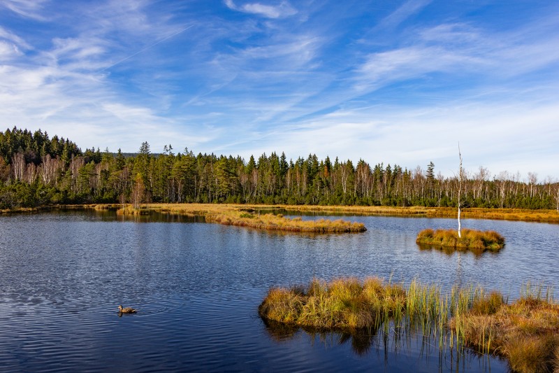 Flyer/Grafik zum Event: Grenzüberschreitende Radtour zum Fürstenhuter Friedhof und Königsfilz 2025 am So., 24.08.2025 ab 10:00 Uhr