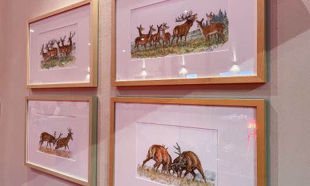 Stimmungsvolle Eröffnung der Ausstellung „Böhmerwald Illustrationen“