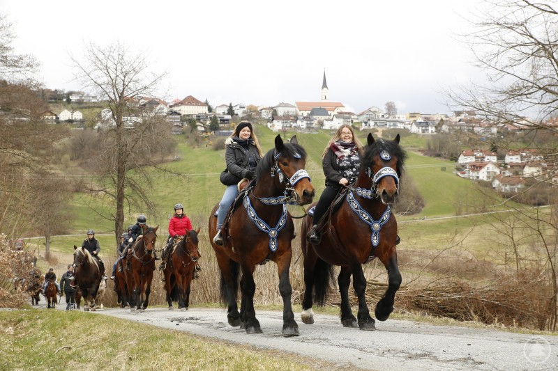 Mehrere Kinder und Jugendliche reiten auf Pferden eine Stra&szlig;e entlang. Im Hintergrund ist die H&uuml;gellandschaft rund um Sch&ouml;nberg mit H&auml;usern und Kirche zu sehen.