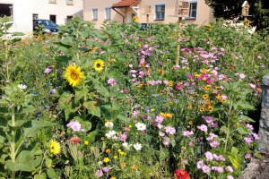 Heimat-Verein: Obst- und Gartenbauverein Jandelsbrunn