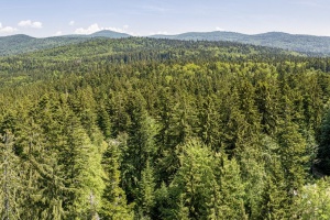 So läuft die Öffnung der Nationalparkeinrichtungen