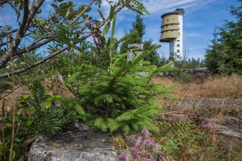 Flyer/Grafik zum Event: Wild, frei und mittendrin am Do., 05.09.2024 - So., 08.09.2024