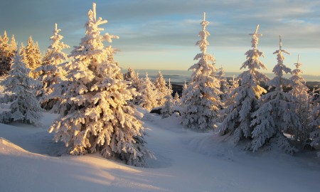 Wunderschöne Weihnachtstage!