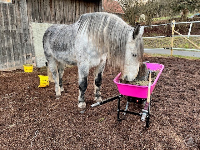 Die elektrische BAMATO-Schubkarre in Pink sorgt für tierisch gute Laune