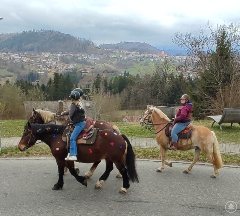 Zwei Kinder reiten auf geschm&uuml;ckten Pferden entlang einer Stra&szlig;e. Im Hintergrund ist die H&uuml;gellandschaft mit dem Ort Sch&ouml;nberg und seiner Kirche zu sehen.