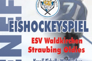 Tierischer Fight für den guten Zweck