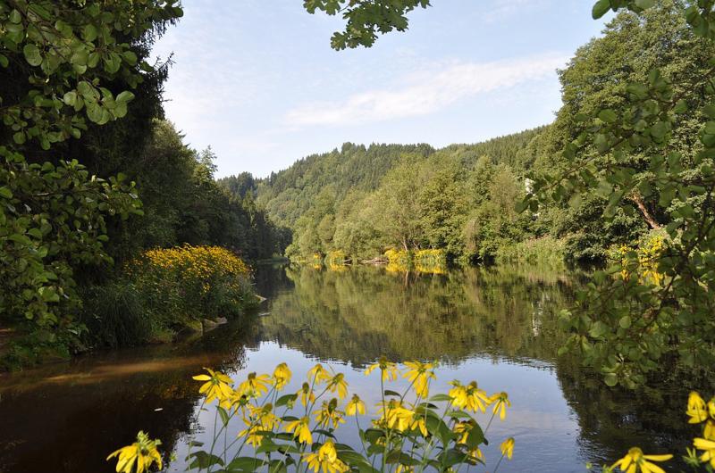 Flyer/Grafik zum Event: Traumpfad an der Ilz am Mi., 02.10.2019 von 10:00 bis 13:00 Uhr