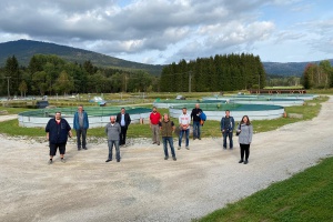 Ähnliche Probleme, verschiedene Lösungen