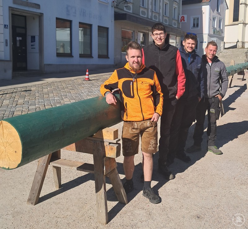 Alex Liebl von vorne, Michael Christoph, Jannik Lippl und Jan Schwarzkopf brachten für die Zamstrahdn stellvertretend den Baum zurück und nahmen vier Kasten Volksfestbier als Anzahlung mit. Mehrere junge Männer stehen neben einem Maibaumstamm und präsentieren ihn nach der Rückgabe.
