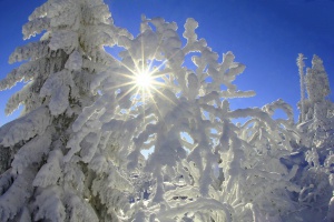 Woidwetter im Januar 2022