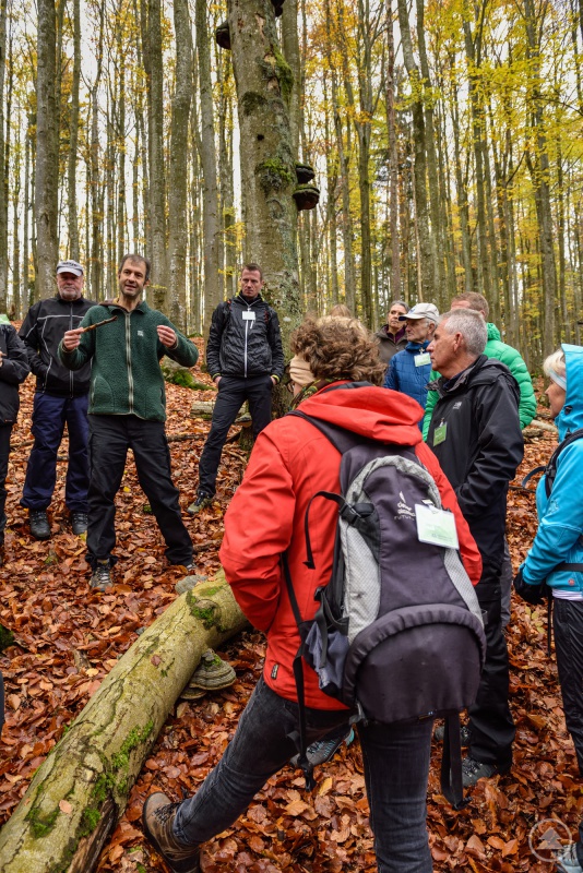 Das Wissen über den Nationalpark wurde den neuen Waldführern unter anderem bei Exkursionen im wilden Wald näher gebracht, wie hier mit Forschungsleiter Jörg Müller.