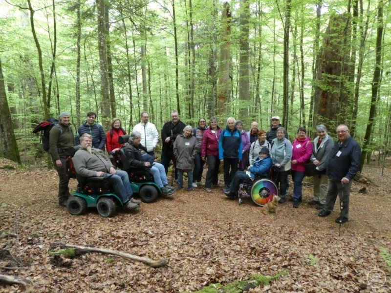 Mit geländegängigen Rollstühlen konnten die Teilnehmer am Seminar des Aphasie Landesverbandes die Nationalpark-Natur rund um das Wildniscamp entdecken.