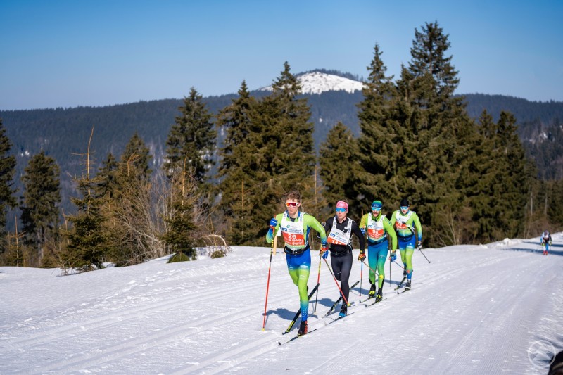 Anspruchsvolle Strecken im Herzen des Bayerischen Waldes: Der Skadi Loppet führt durch die Hochwälder rund um Bodenmais. Mehrere Langläufer laufen auf einer sonnigen Loipe durch den Bayerischen Wald, im Hintergrund sind Berge und hohe Nadelbäume zu sehen.